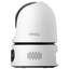 detalle2.png