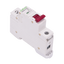 detalle3.png