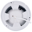 detalle3.png