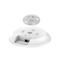 detalle3.png