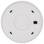 detalle3.png