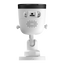 detalle3.png