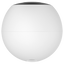 detalle4.png